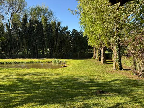 NIEUIL L'ESPOIR : LA BUCOLIQUE , Nieuil l espoir