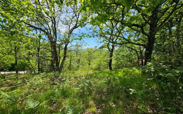 Maison à vendre    5 pièces •  Saint-Paul-le-Jeune