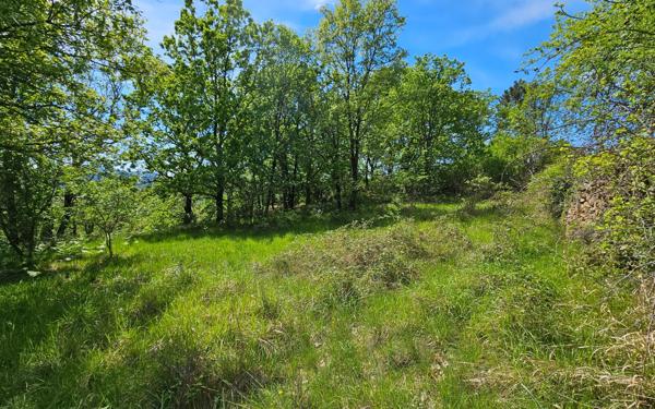 Maison à vendre    5 pièces •  Saint-Paul-le-Jeune