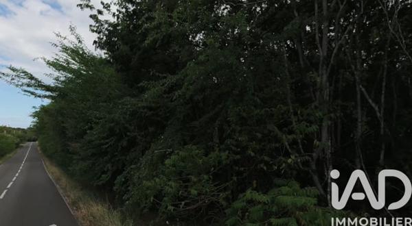 Terrain à vendre 10 682 m² Deshaies