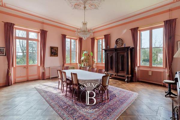 Peyrehorade, Château 14 Chambres -  800 m² à vendre
