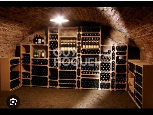 Cave à vendre plateau croix rousse - rue Henri Gorjus