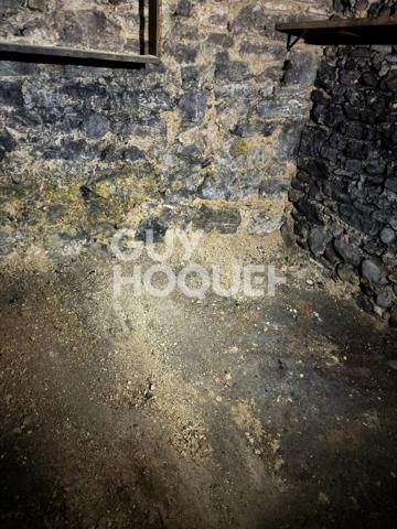 Cave à vendre plateau croix rousse - rue Henri Gorjus