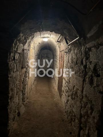 Cave à vendre plateau croix rousse - rue Henri Gorjus