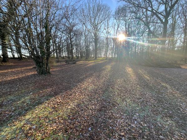 Propriété sur 2,5 hectares