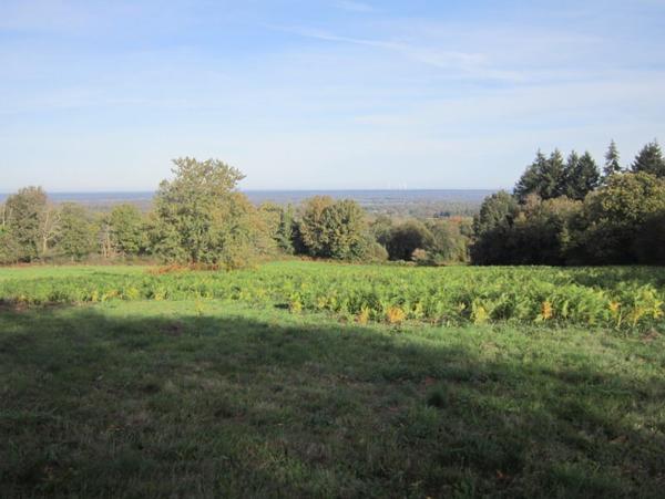 Terrain à vendre |  Montrol-Sénard |  24890 m²