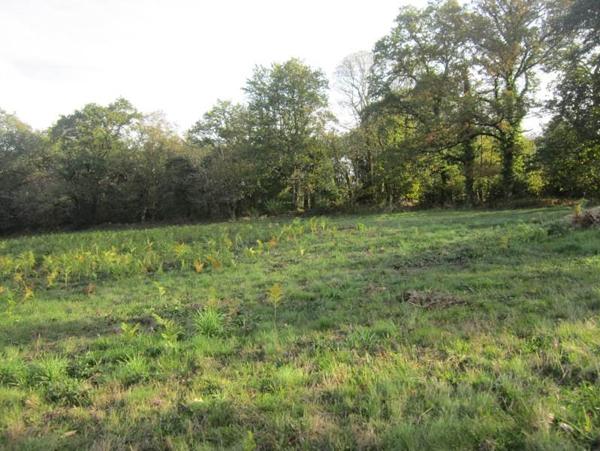 Terrain à vendre |  Montrol-Sénard |  24890 m²