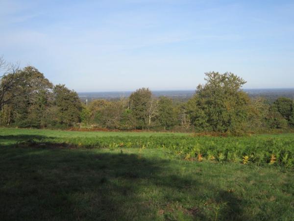 Terrain à vendre |  Montrol-Sénard |  24890 m²