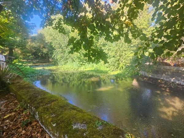 Achat - Propriété Châteauroux 36000 480 m 2 2482 m 2
