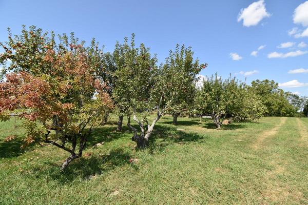 Maison 5 minutes de PONTONX  159 M2 SUR TERRAIN DE 6000 M2