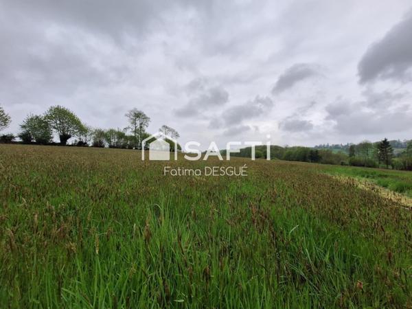 "Venez découvrir votre havre de paix aux Teilleul : une maison spacieuse et sans vis-à-vis, idéale pour une vie sereine !"