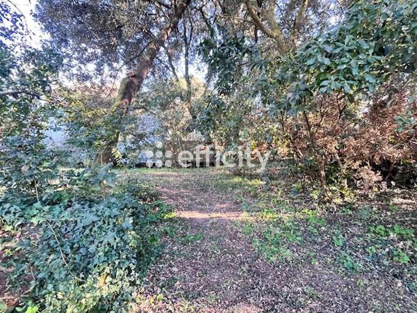 Maison 4 pièces - 134 m²