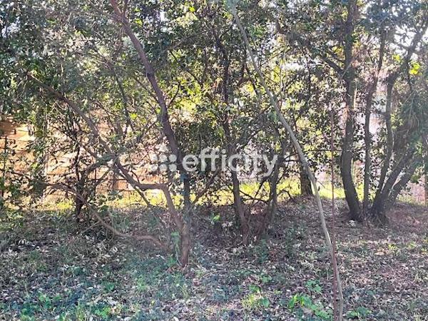 Maison 4 pièces - 134 m²