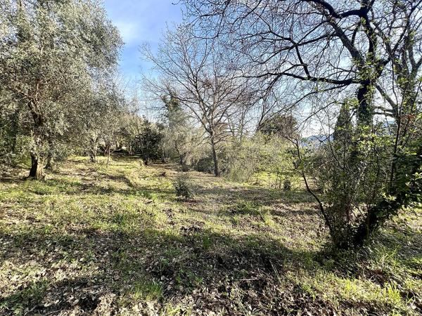 Terrain  en vente - Alpes-Maritimes - 06