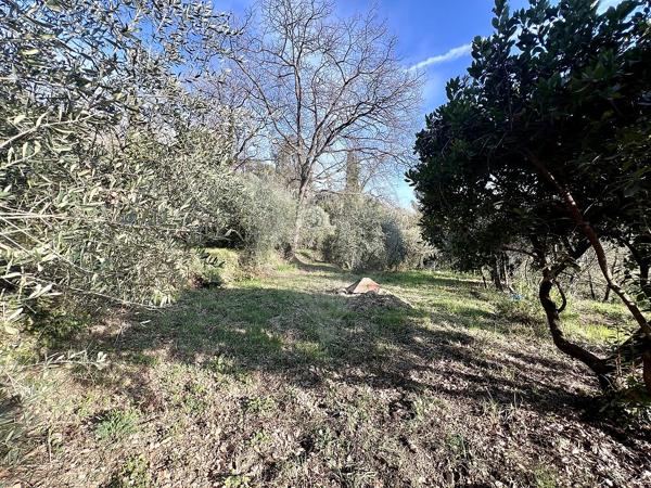 Terrain  en vente - Alpes-Maritimes - 06