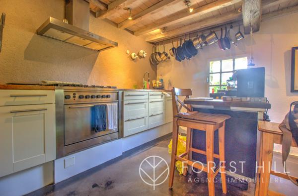 Saint-Laurent-de-Cerdans (66260) Mas authentique rénové