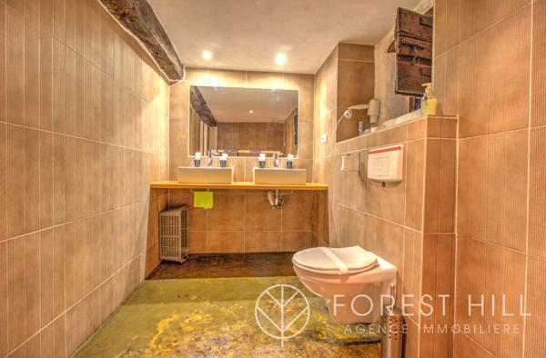 Saint-Laurent-de-Cerdans (66260) Mas authentique rénové