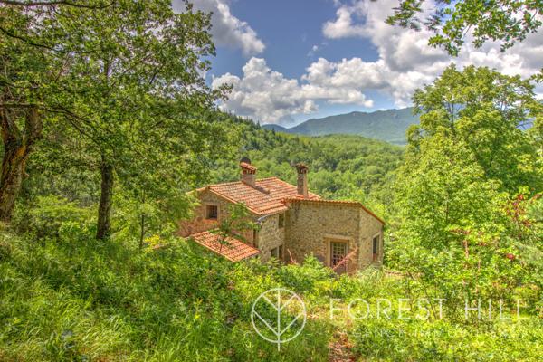 Saint-Laurent-de-Cerdans (66260) Mas authentique rénové