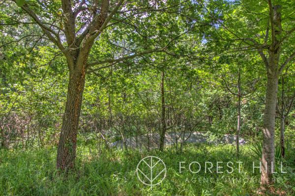 Saint-Laurent-de-Cerdans (66260) Mas authentique rénové