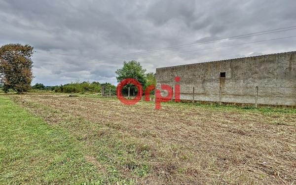 Terrain à vendre    Brugheas