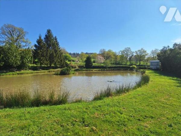 A Vendre à JUVIGNE (53380), en Mayenne. 
Plan d'eau (1500 m² environ) alimenté par des sources...
