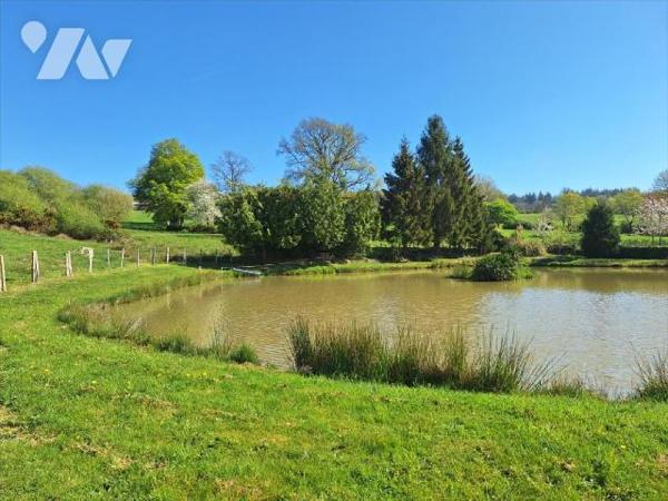 A Vendre à JUVIGNE (53380), en Mayenne. 
Plan d'eau (1500 m² environ) alimenté par des sources...