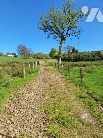 A Vendre à JUVIGNE (53380), en Mayenne. 
Plan d'eau (1500 m² environ) alimenté par des sources...