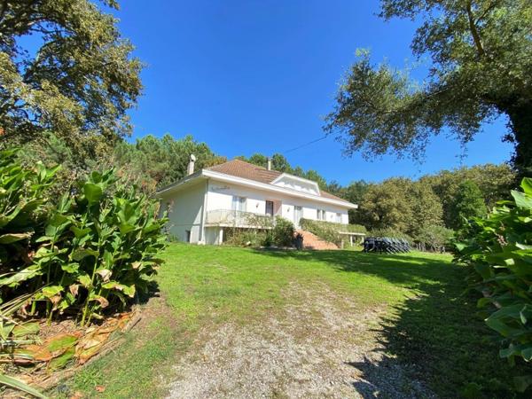 Belle Villa des Années 70 - Terrain arboré d'environ 6300m² - à vendre - 7 pièces - proche de Soustons - AZUR (40)