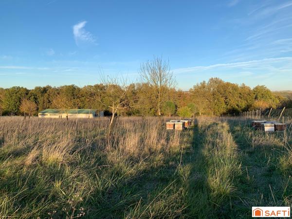 TERRAIN CONSTRUCTIBLE AVEC HANGAR