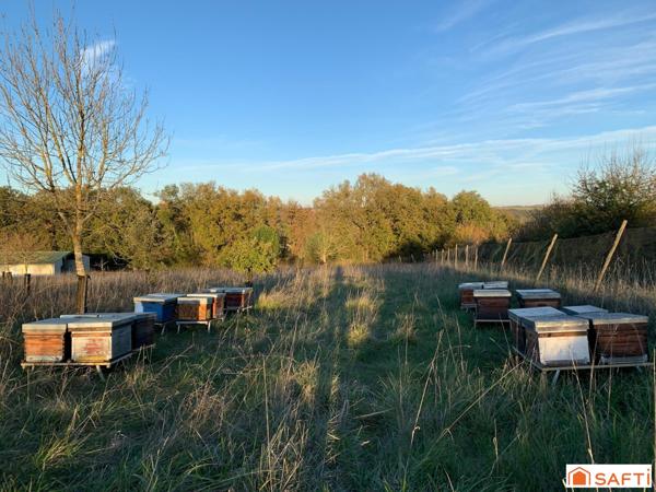 TERRAIN CONSTRUCTIBLE AVEC HANGAR