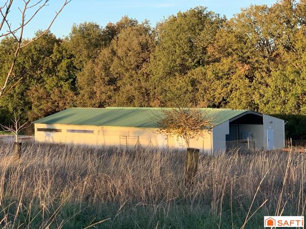 TERRAIN CONSTRUCTIBLE AVEC HANGAR