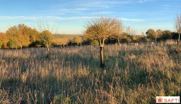 TERRAIN CONSTRUCTIBLE AVEC HANGAR