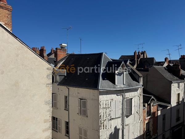 Vente
                Appartement48,8 m² - 2 Pièces -
                    ORLEANS (45000)