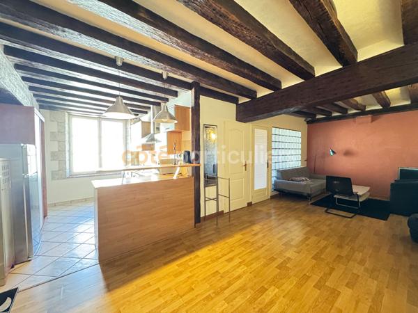 Vente
                Appartement48,8 m² - 2 Pièces -
                    ORLEANS (45000)