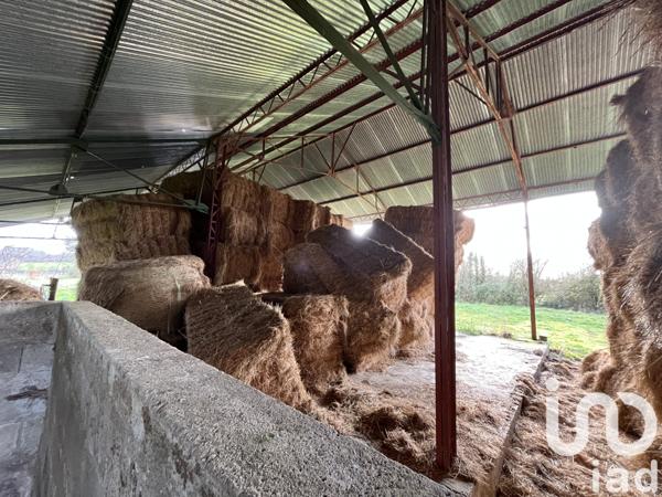 Terrain à vendre 4 190 m² Saint-Savin