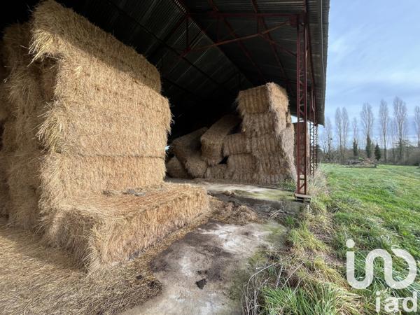 Terrain à vendre 4 190 m² Saint-Savin