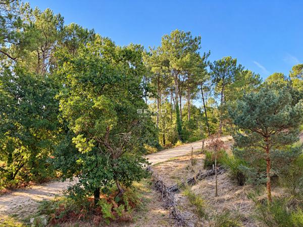 Appartement 2 pièces Capbreton 41.10 m2