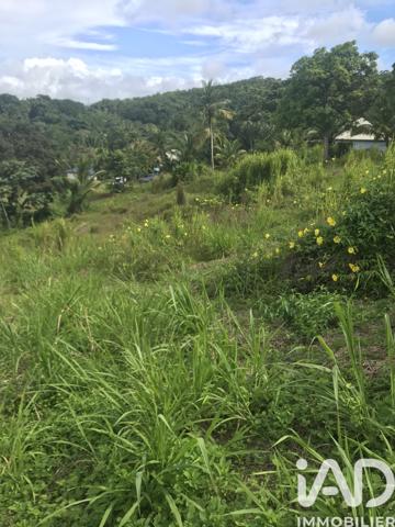 Terrain à vendre 1 502 m² Sainte-Rose