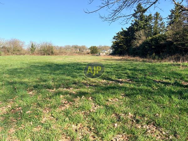 Vente terrain Pierric : 35 780 € - AJP By Marie
