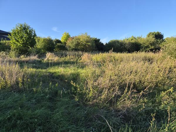Terrain
        
        - 1956 m² 737 000 € *