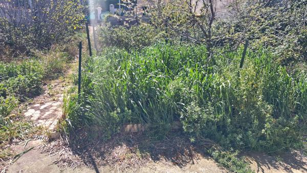 Pennes-Mirabeau (13170) Maison type 3 sur terrain