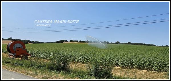 Dpt Gers (32), à vendre proche AUCH - propriété agricole - 145 Hectares avec LAC et 860 M² de bâtiments