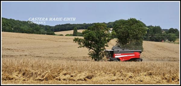 Dpt Gers (32), à vendre proche AUCH - propriété agricole - 145 Hectares avec LAC et 860 M² de bâtiments