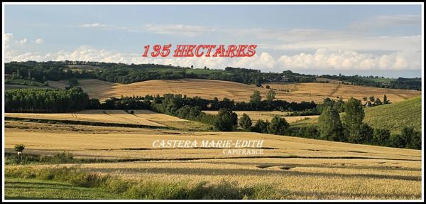 Dpt Gers (32), à vendre proche AUCH - propriété agricole - 145 Hectares avec LAC et 860 M² de bâtiments
