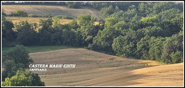 Dpt Gers (32), à vendre proche AUCH - propriété agricole - 145 Hectares avec LAC et 860 M² de bâtiments