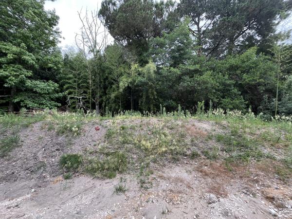 Votre Jardin comme en Forêt
