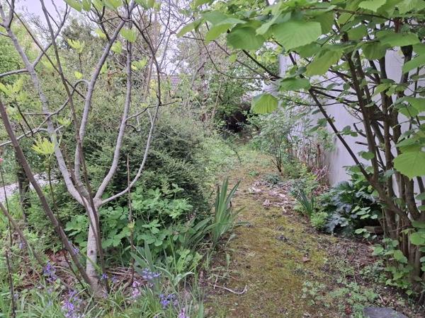 Maison à vendre |  Buzançais |  3 pièces | 71 m²