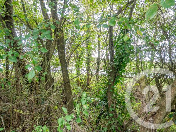 Terrain à vendre  839 m2 L ILE D OLONNE - 85