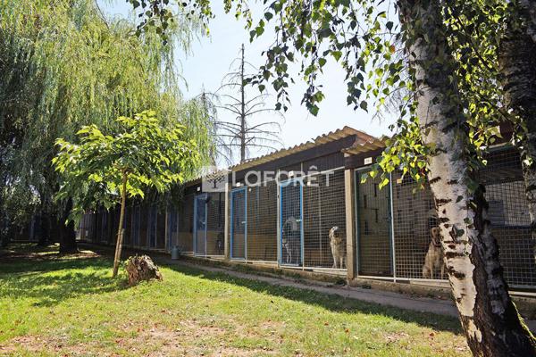 Achat maison près de Belleville-en-Beaujolais - 7 pièce(s) - 215 m² - 510 000 €