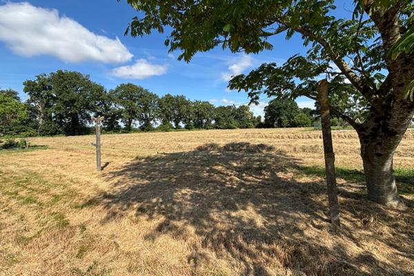Maison à vendre - 6 pièces - 116 m² PLOERMEL (56800)